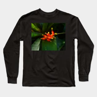 This red and yellow flower brings joy! Long Sleeve T-Shirt